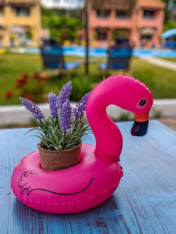 Hotel apartamentowy The Seahorse *